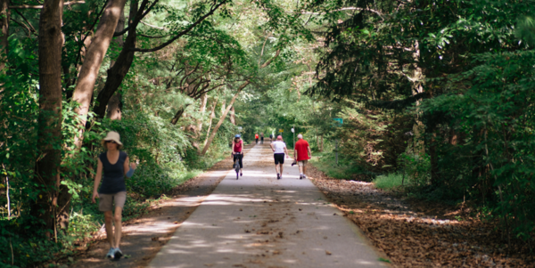 Tree-lined park path with people walking in the distance